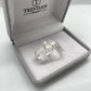 Par de Aliança Namoro em Prata 950 - Dália 4mm Reta Diamantada + Anel Brinde